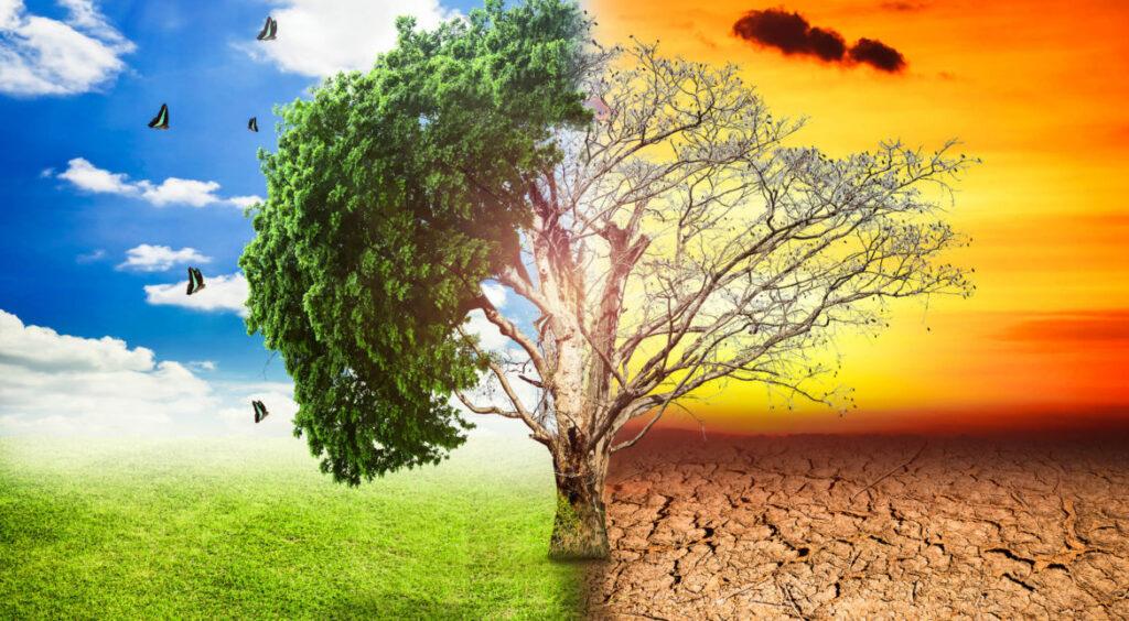RECICLAREA – una dintre soluțiile pentru combaterea încălzirii globale