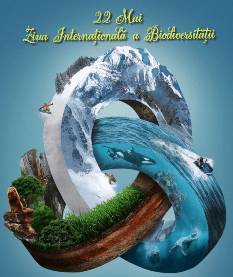 Ziua Internațională a Biodiversității