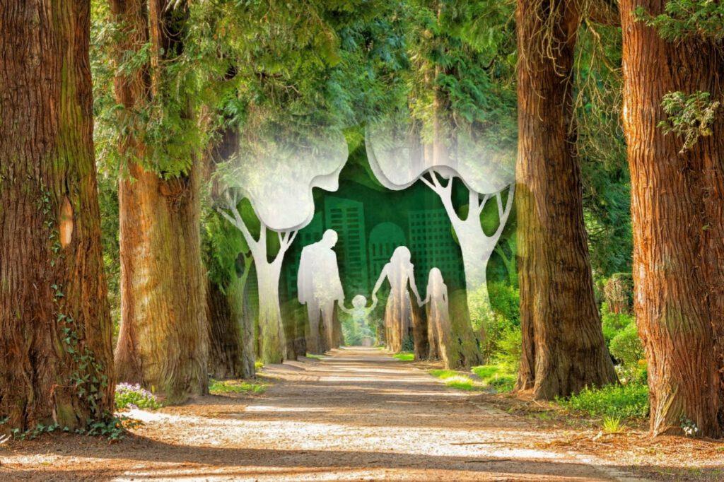 Ziua Internațională a Parcurilor și a Grădinilor Zoologice