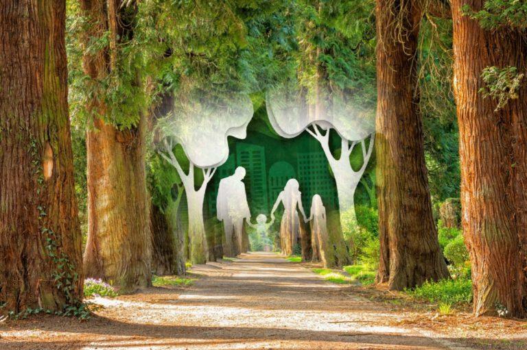 Ziua Internațională a Parcurilor și a Grădinilor Zoologice